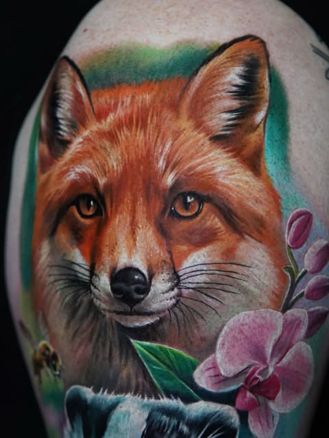 너구리, 트럼프 카드, Animal, 여우