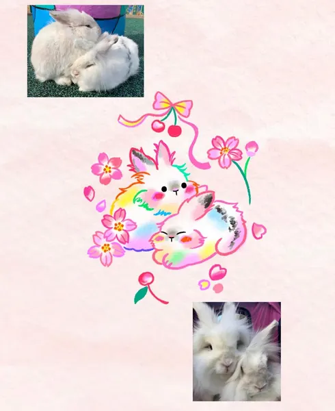 Animal