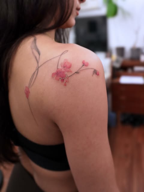 Flower, Rose