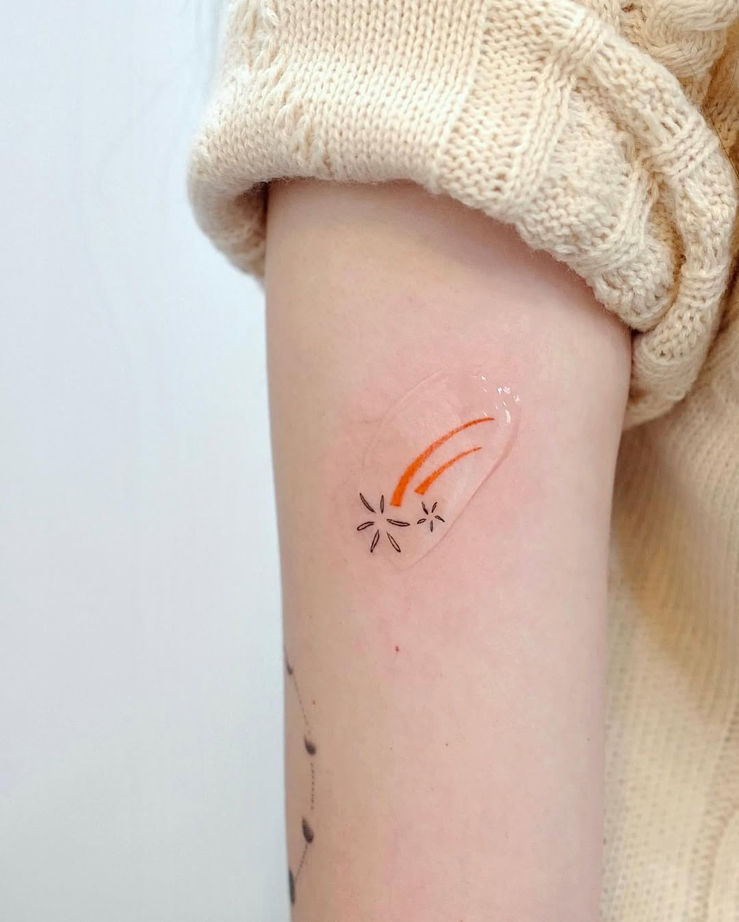 Nature, Mini