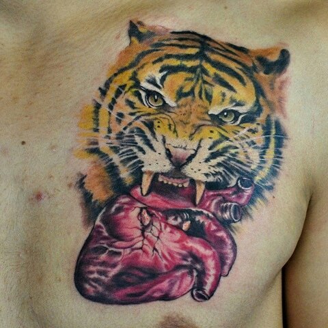 Tiger