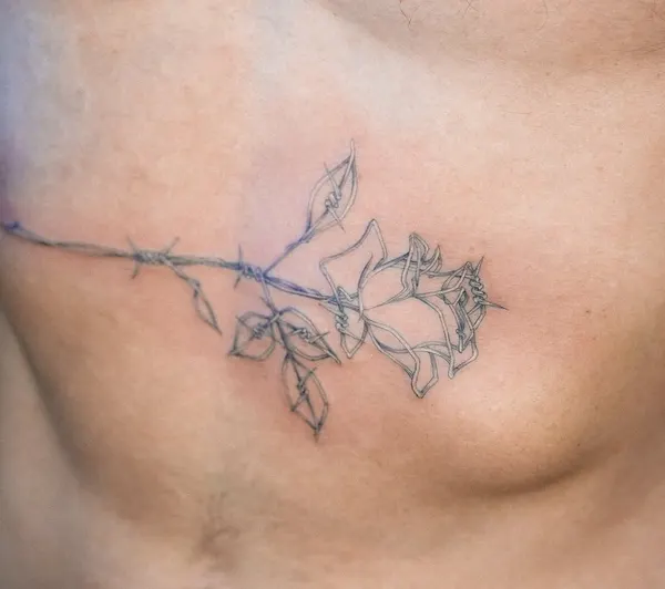 Flower, Rose, Nature