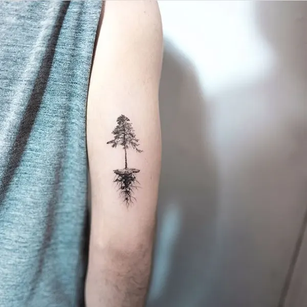 Nature, 숲, 대나무, 소나무, 야자수, 나무