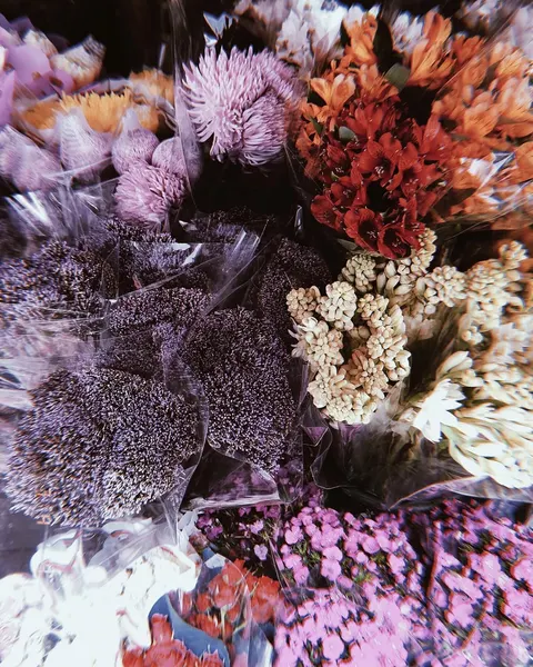 fflowerporn