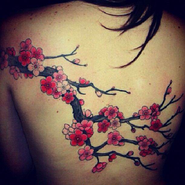 Flower, Nature