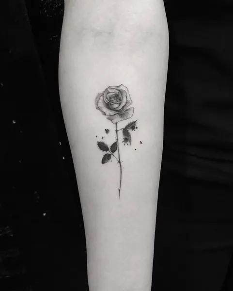 Flower, Rose