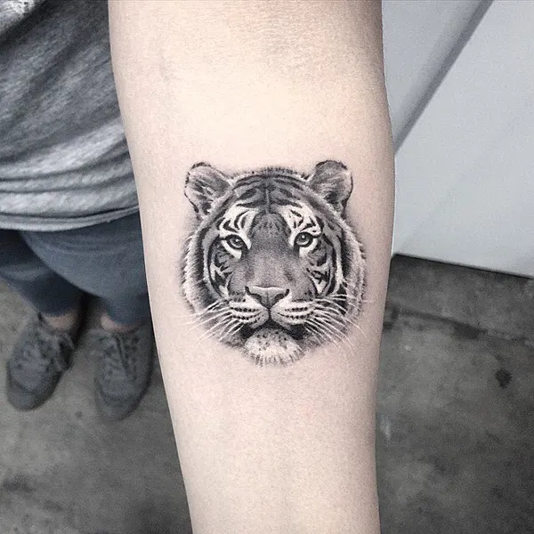 Tiger