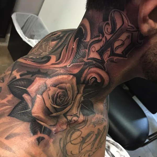 Rose, Nature, Flower