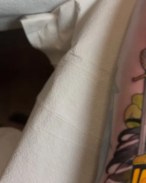 기사