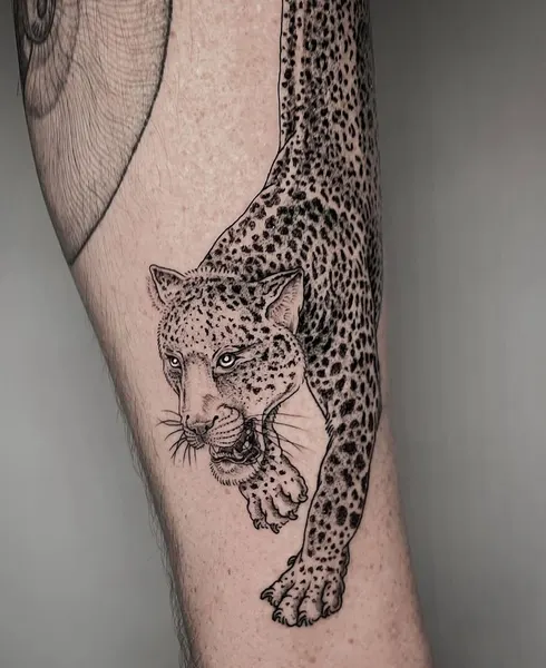 Animal