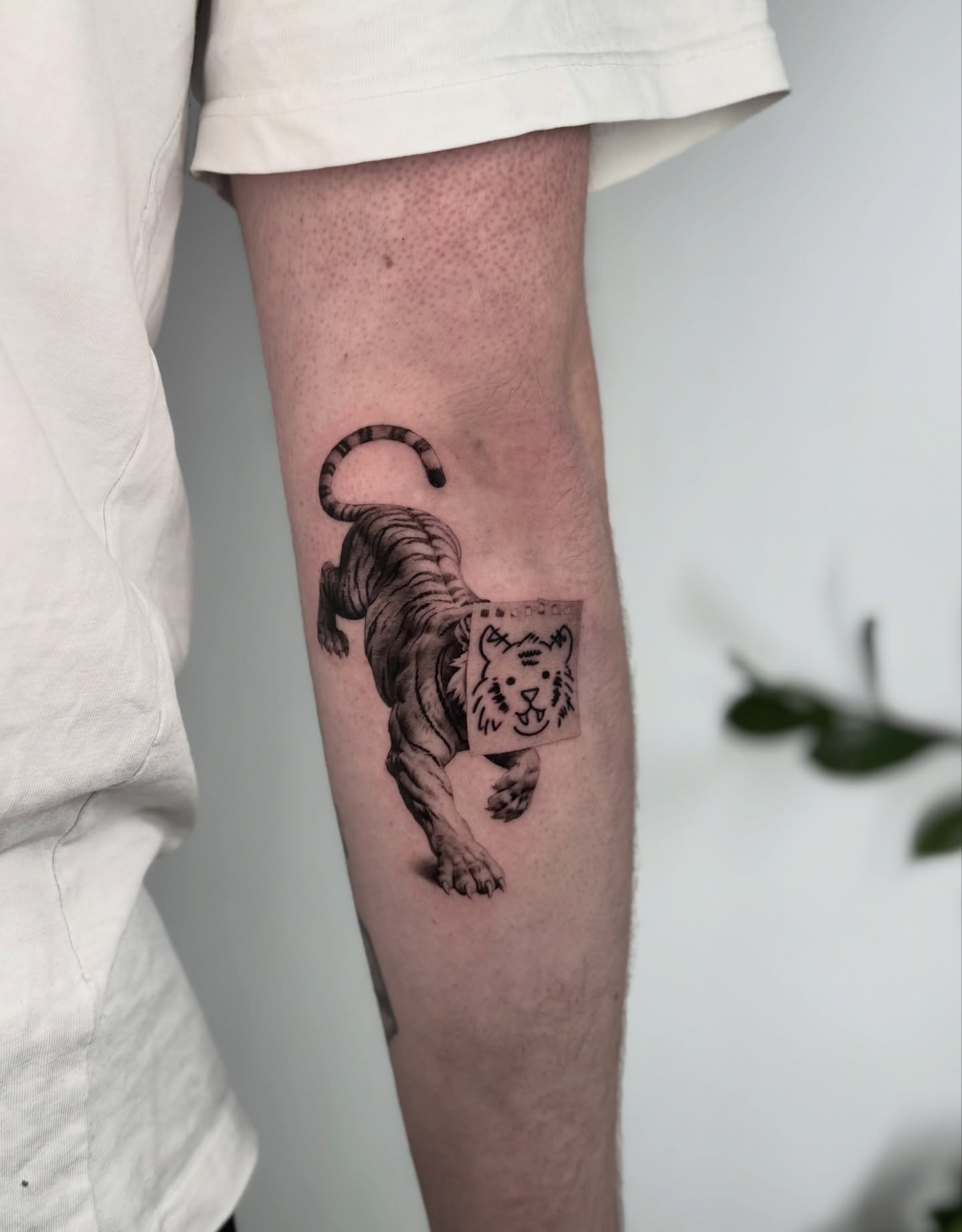 Tiger