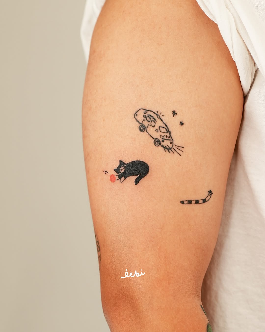 Animal