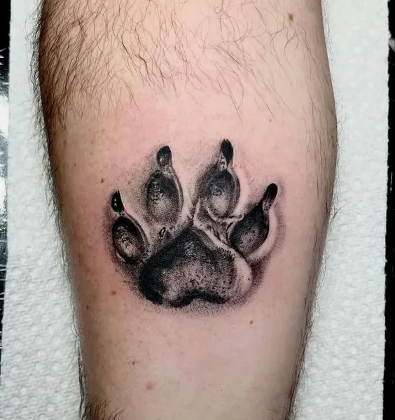 Animal