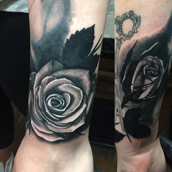 Flower, Rose