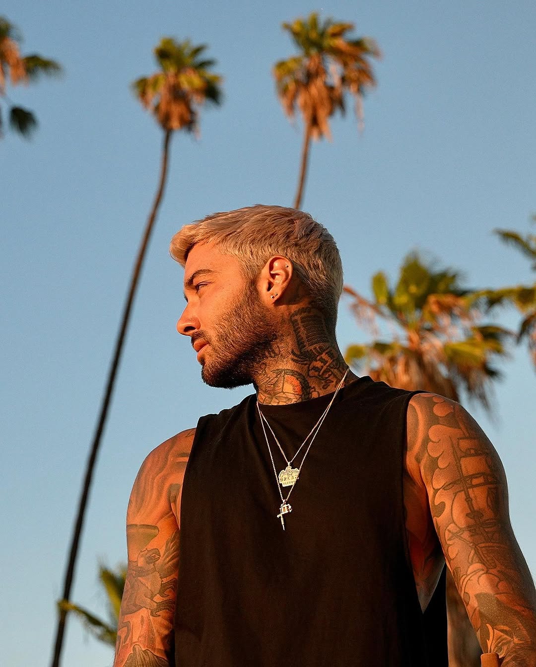 romeolacoste