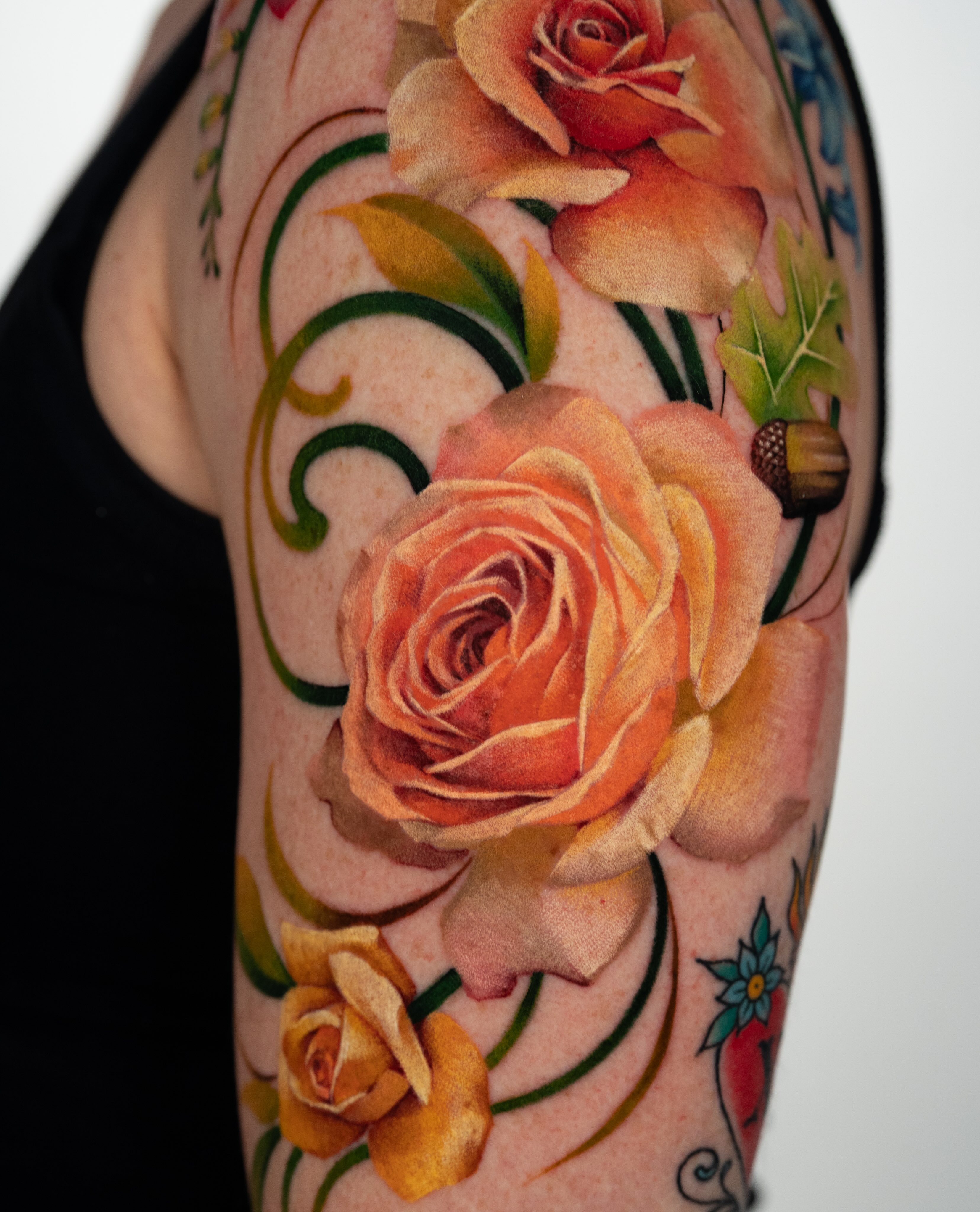 Flower, Rose, Nature