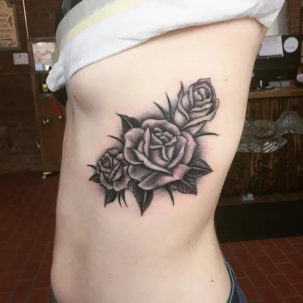 Flower, Rose, Nature