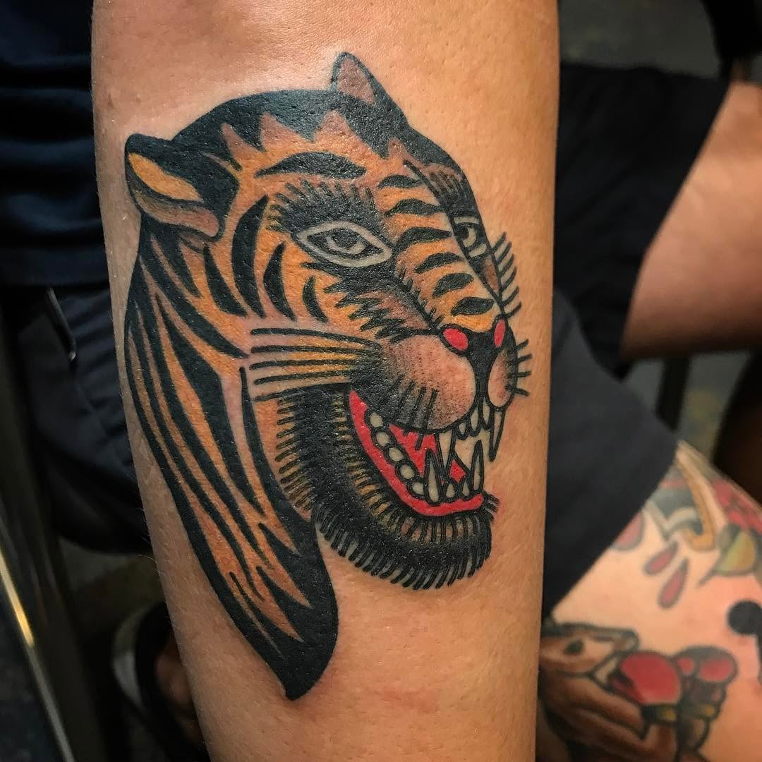 Tiger, Animal