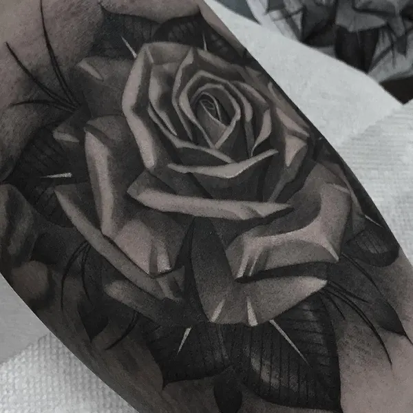 Flower, Rose