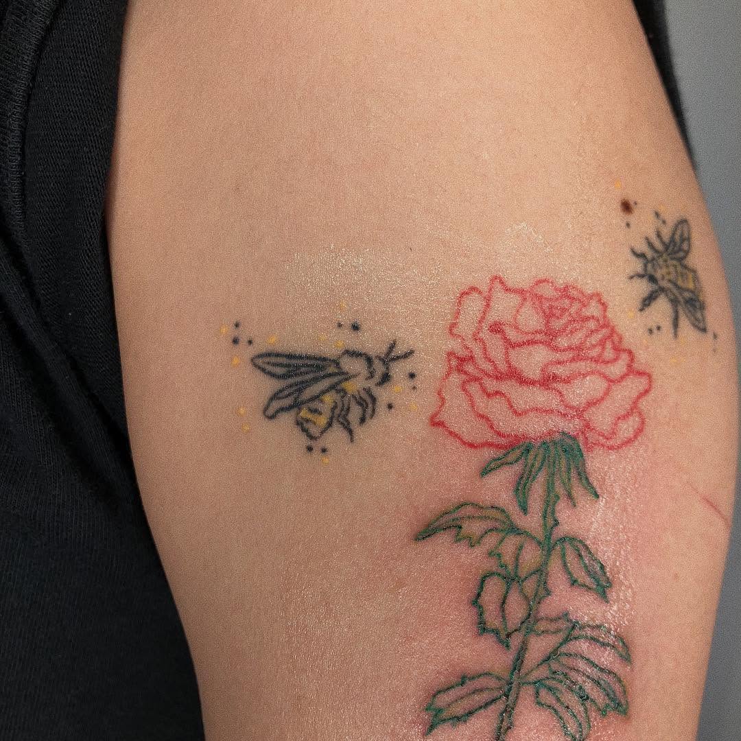 Flower, Rose