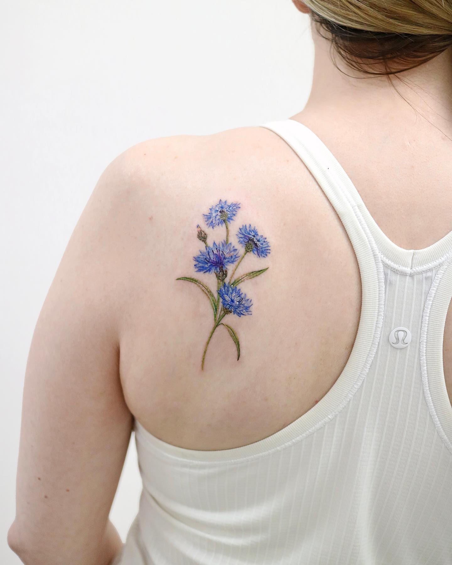 Flower, Nature, Rose
