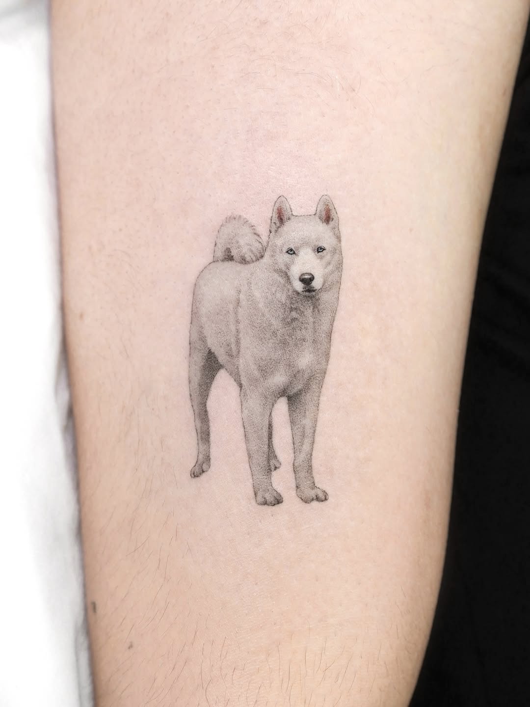 dorok.tattoo
