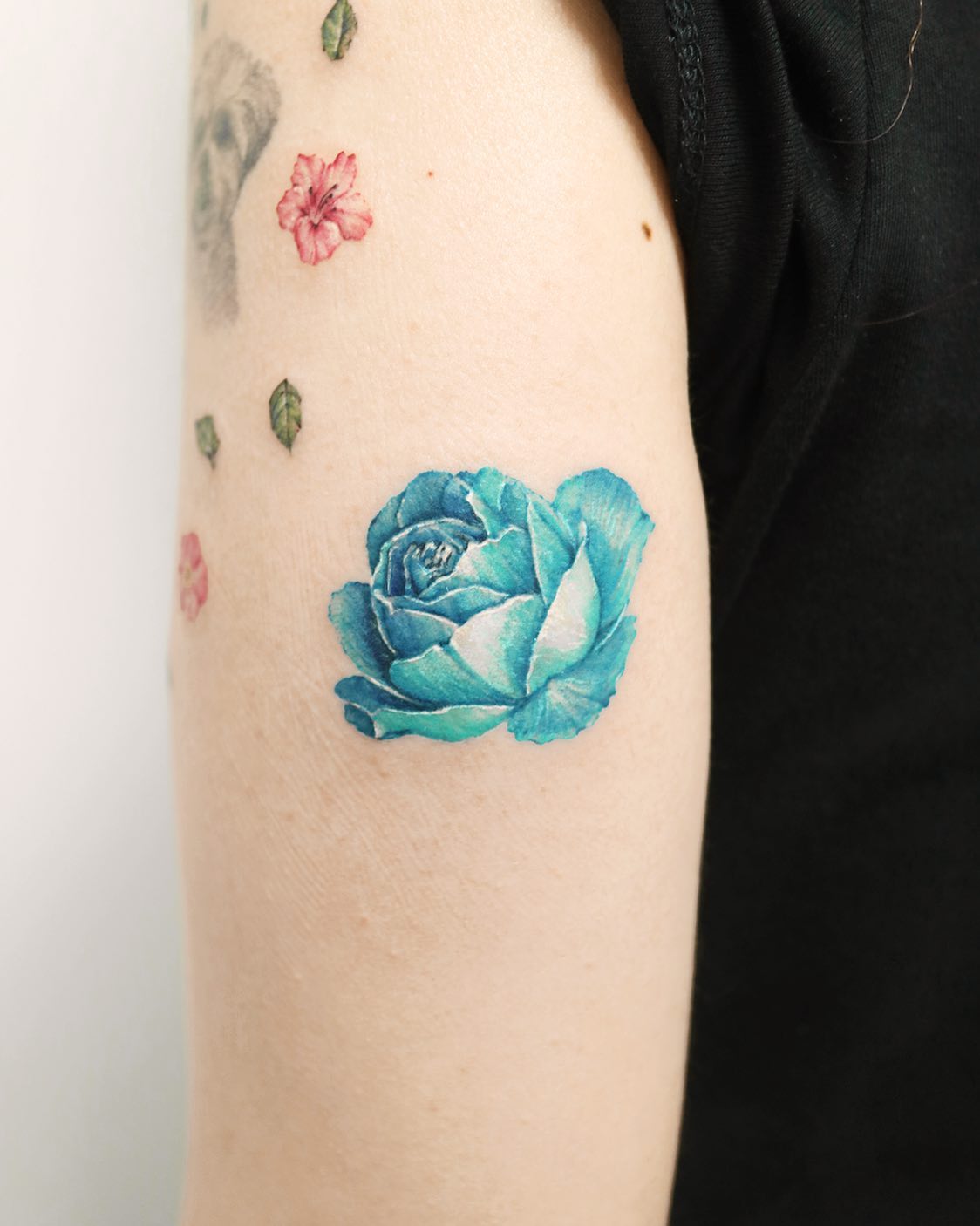 Flower, Rose