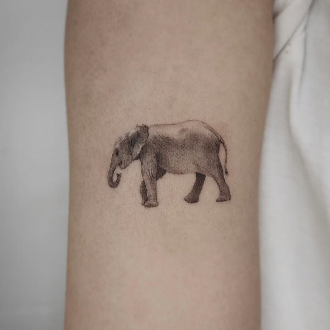 40.tatt