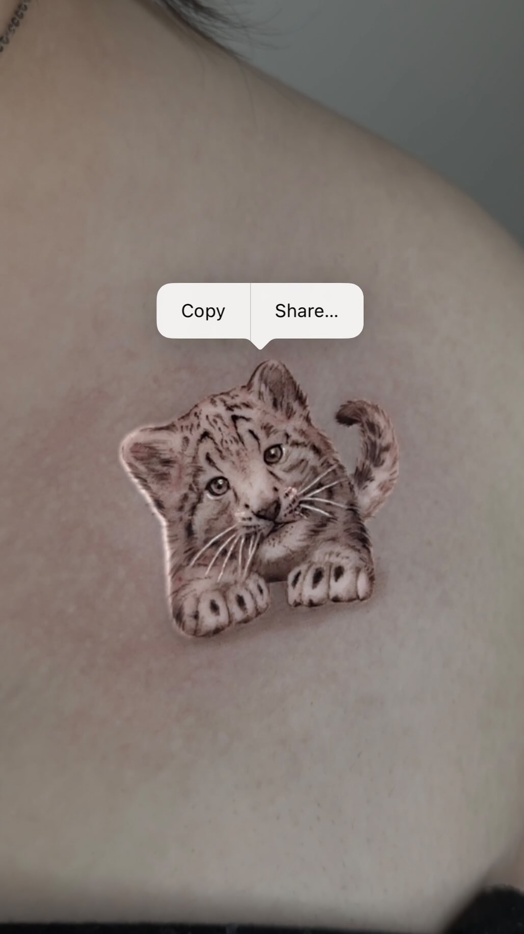 40.tatt
