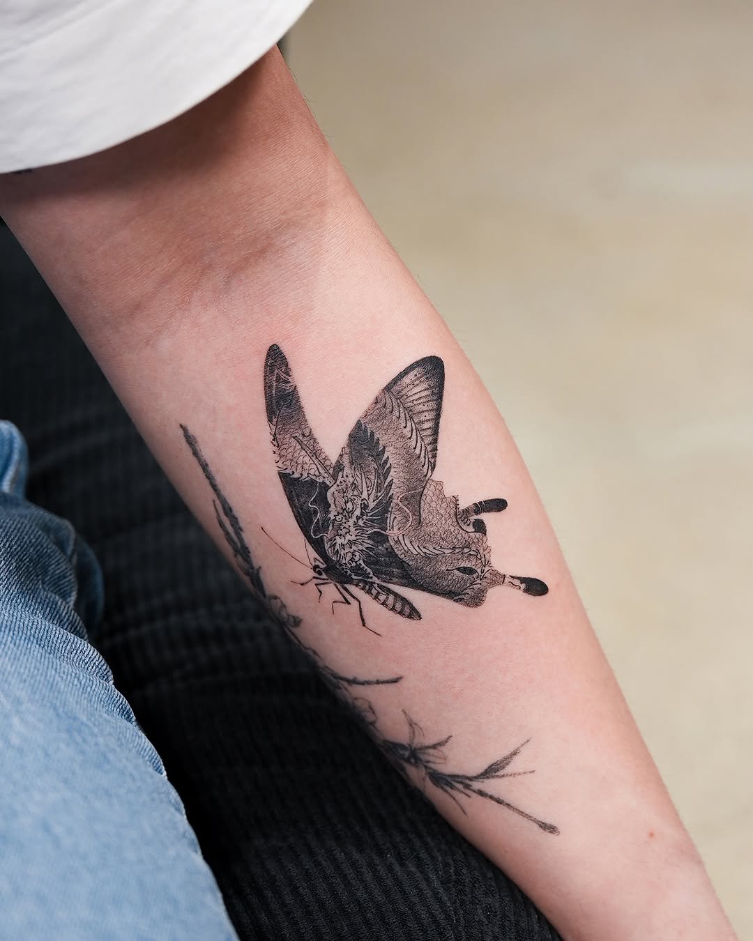 Animal, Nature
