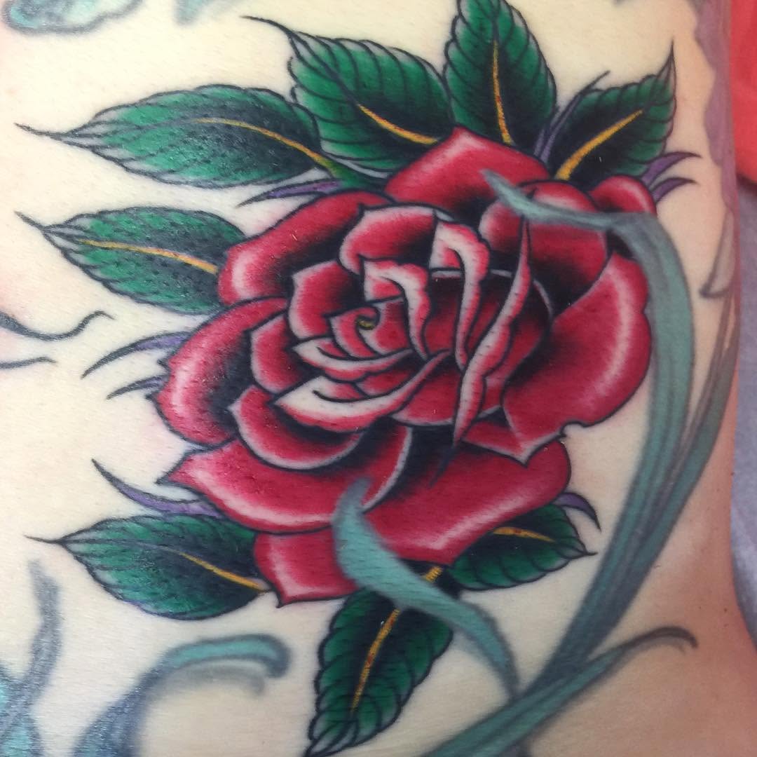 Flower, Rose