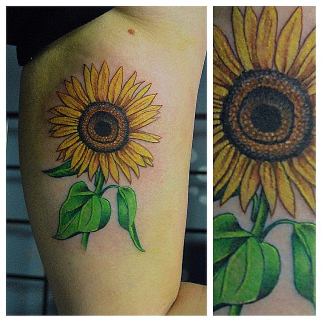 Flower