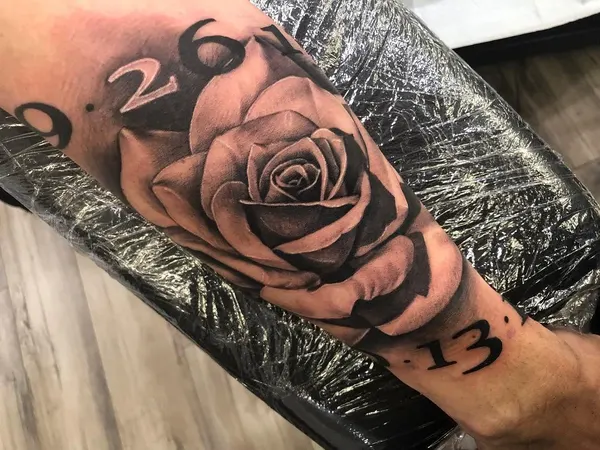 Flower, Rose