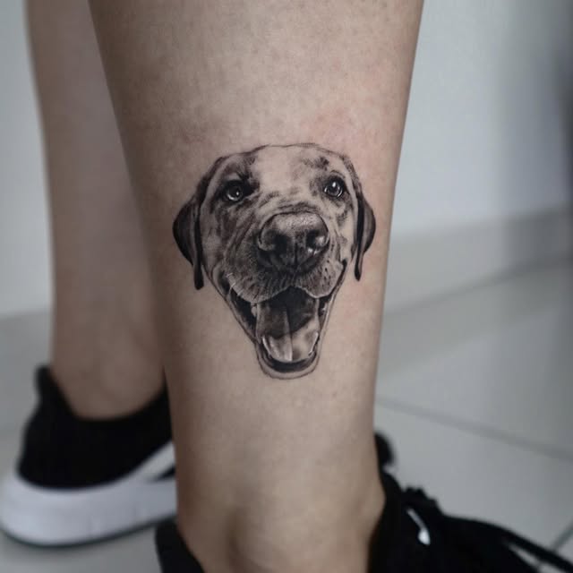 kate_sv_art