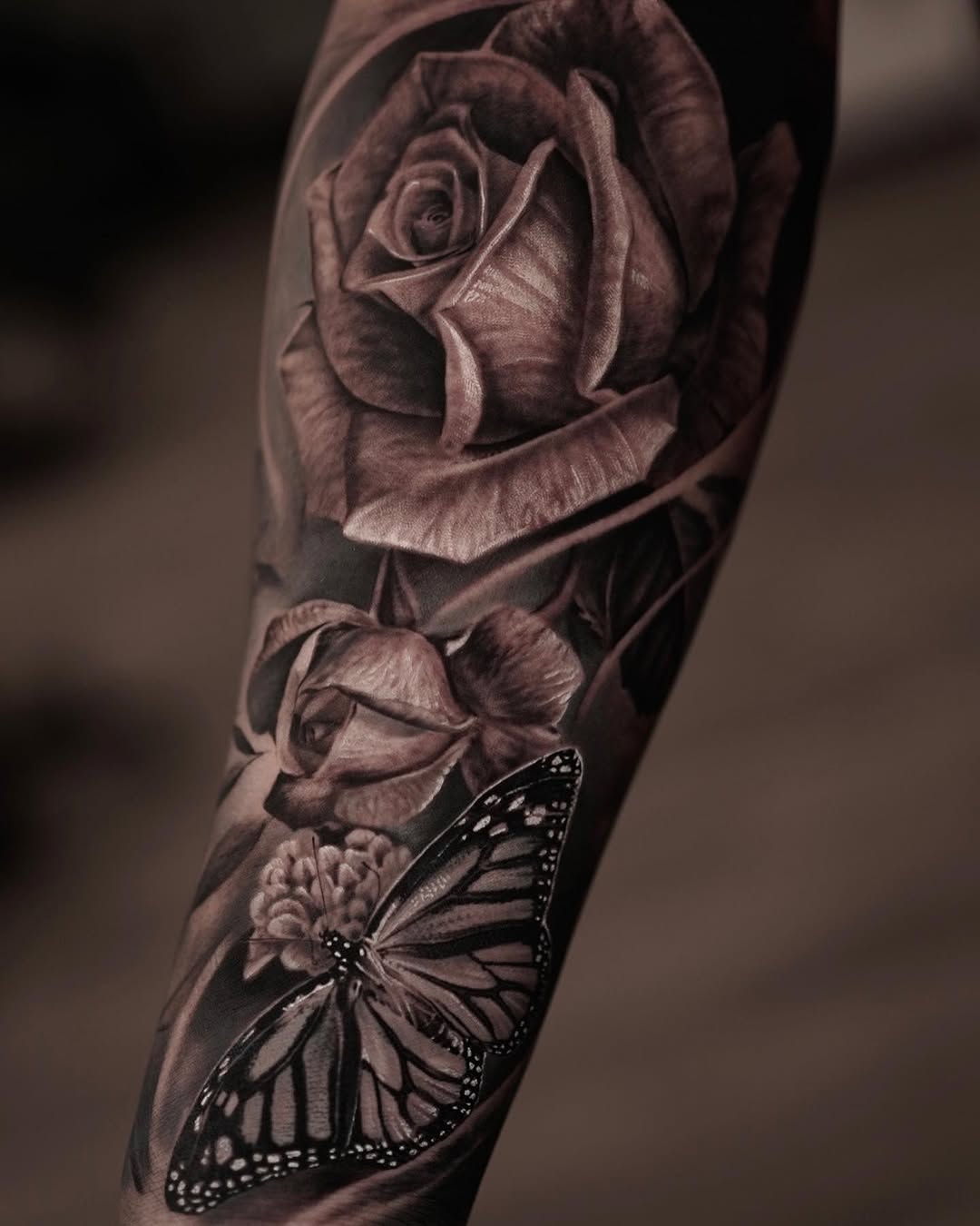Flower, Animal, Nature