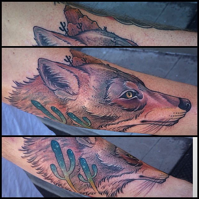 Animal