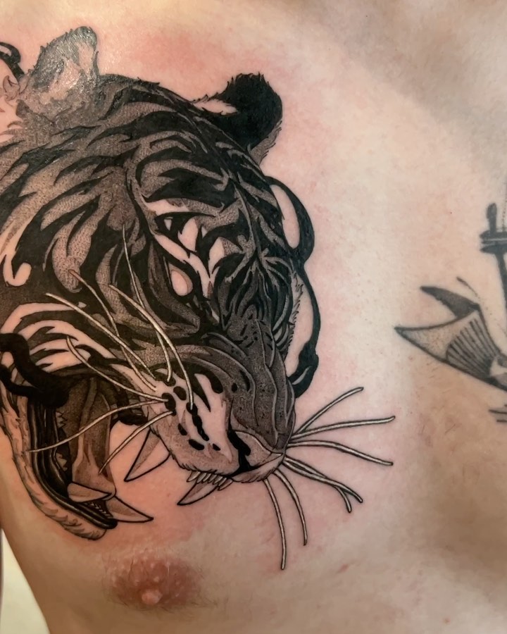 Tiger, 한국 호랑이