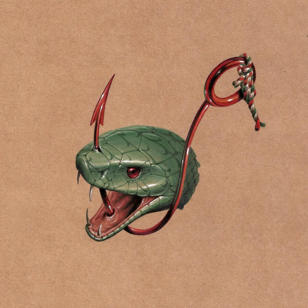 Animal, Snake