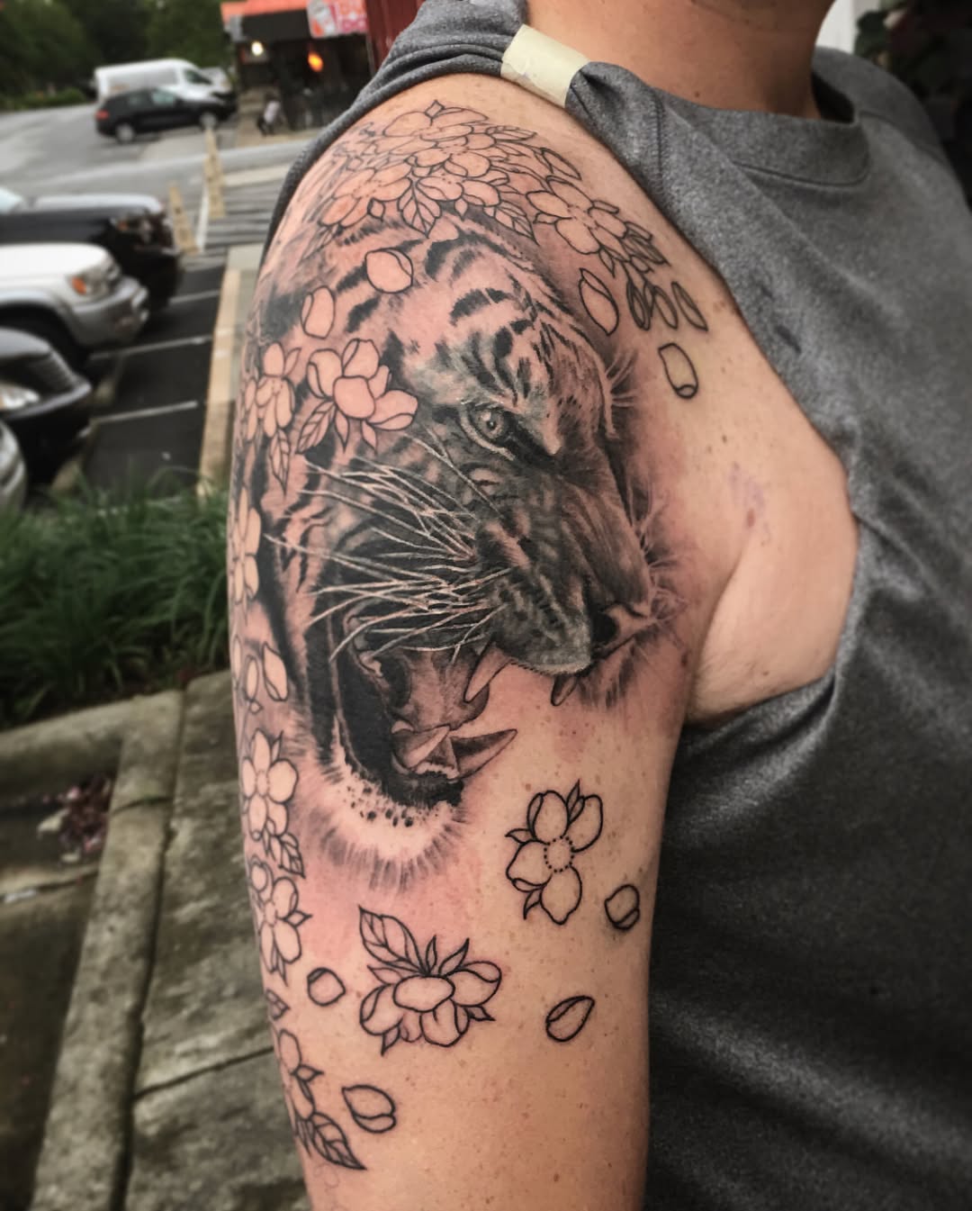 Tiger