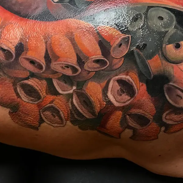 Animal
