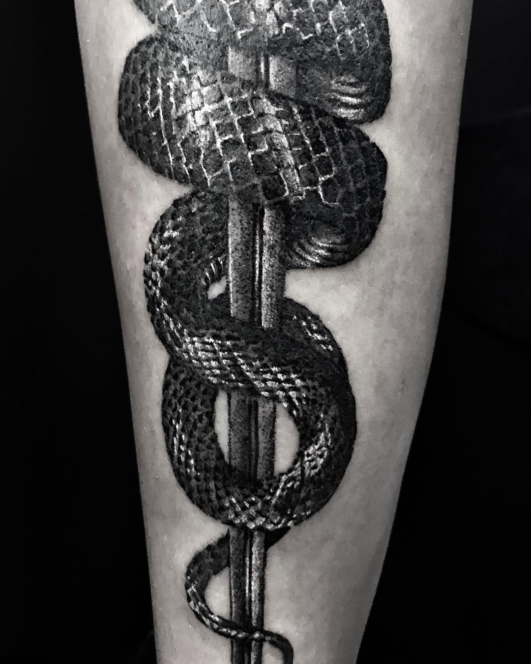 Snake