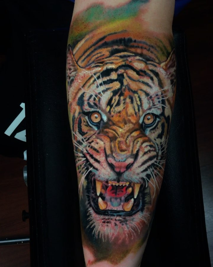 Tiger