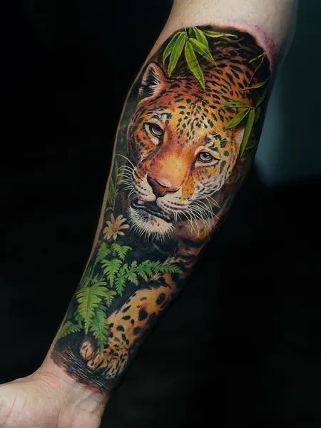 Animal