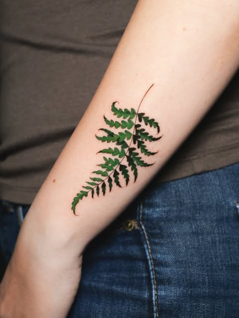 Flower, 고사리, 단풍잎