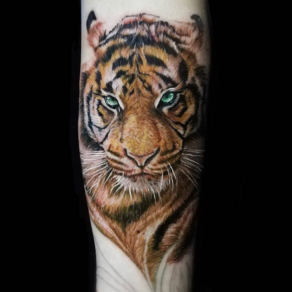 Tiger