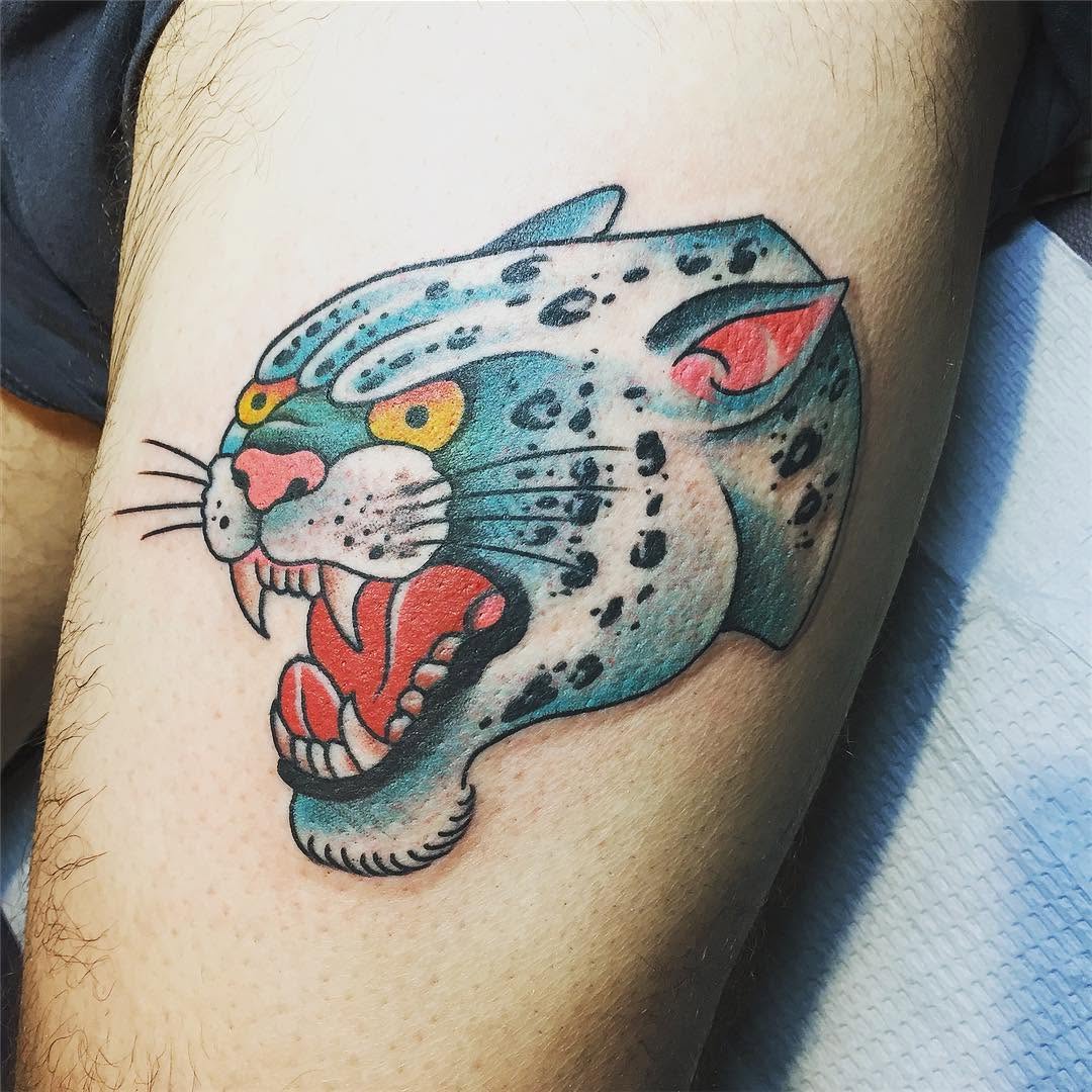 Tiger, Animal