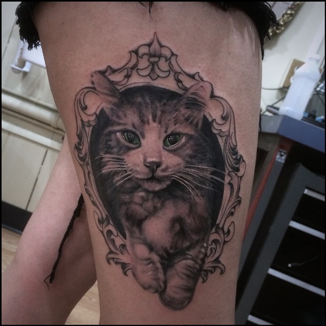 Animal