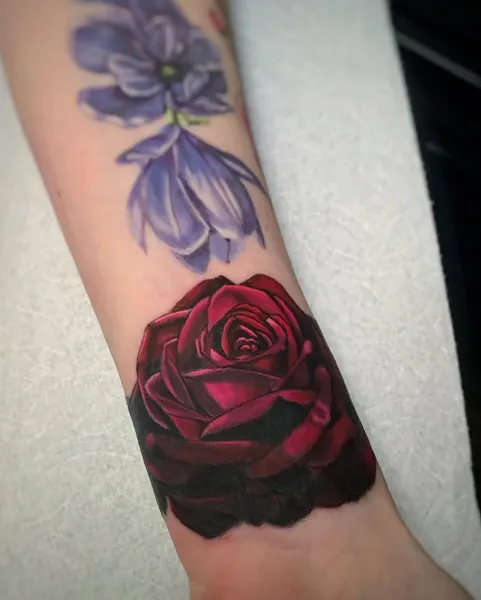 Flower, Rose