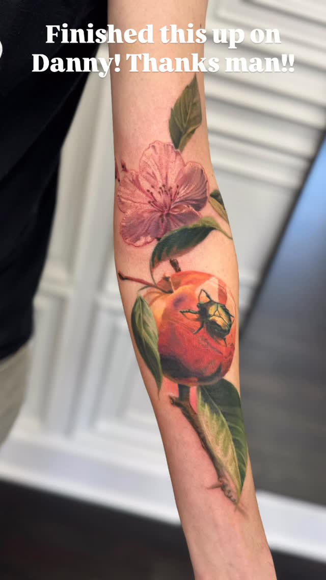 매화, Flower, 사과