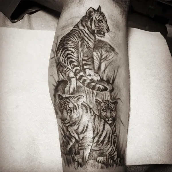 Tiger